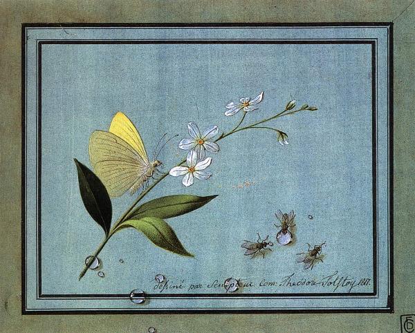 Opera di Tolstoj, "Fiore, farfalla e mosche" conservata al Museo Russo di San Pietroburgo e anche online sul portale Virtual Russian Museum